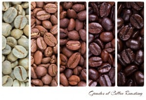 Grades of coffee roasting