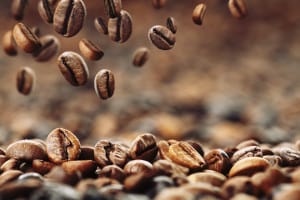 Coffee Beans Close Up