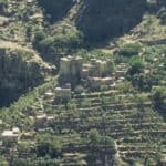 Coffee, Yemen, and Trump’s Travel Ban Coffee, Yemen, and Trump’s Travel Ban