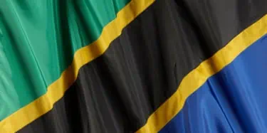 Tanzania Flag