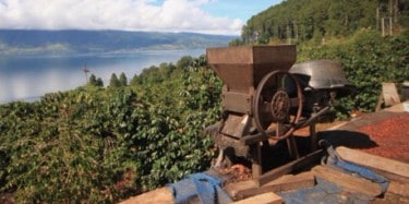 Wet hulling in Sumatra - Photo courtesy of Crop to Cup Coffee