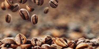 Coffee Beans Close Up