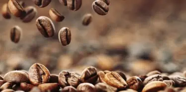 Coffee Beans Close Up