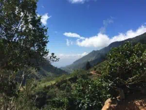 Photo of coffee farm in the highlands of Brunca