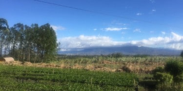 Hacienda Sonora Farm in Central Valley Costa Rica