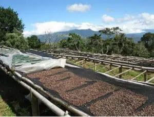 Photo of drying Racks at Los Lajones in Costa Rica