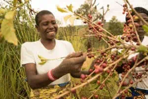 Photo of members of the Nyampinga Cooperative in Rwanda