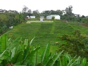 Kayon Mountain in the Guji Zone of southern Ethiopia