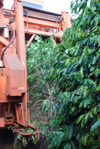 Image of mechanical harvester at work in Sul de Minas, Brazil