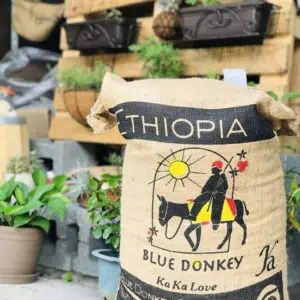 Ethiopia Blue Donkey coffee in Kakalove 
