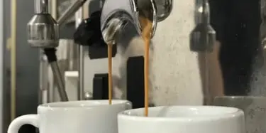 Espresso Shots