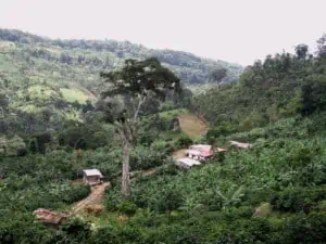 Don Francisco Farm in Nicaragua