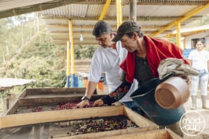 Rigoberto Herrera, co-owner of the Cafe Granja la Esperanza farm in Colombia. 