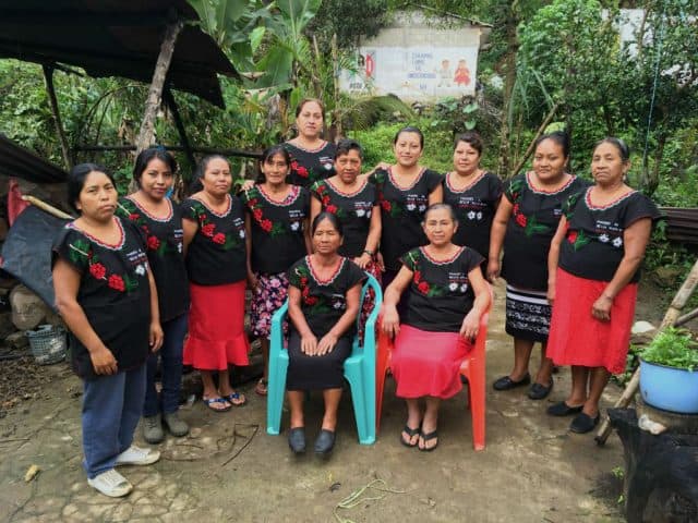 Women from Mayan Village Coffee in Chiapas, producers of Mr. Espresso's 92-point Mexico Mayan Village Women’s Lot